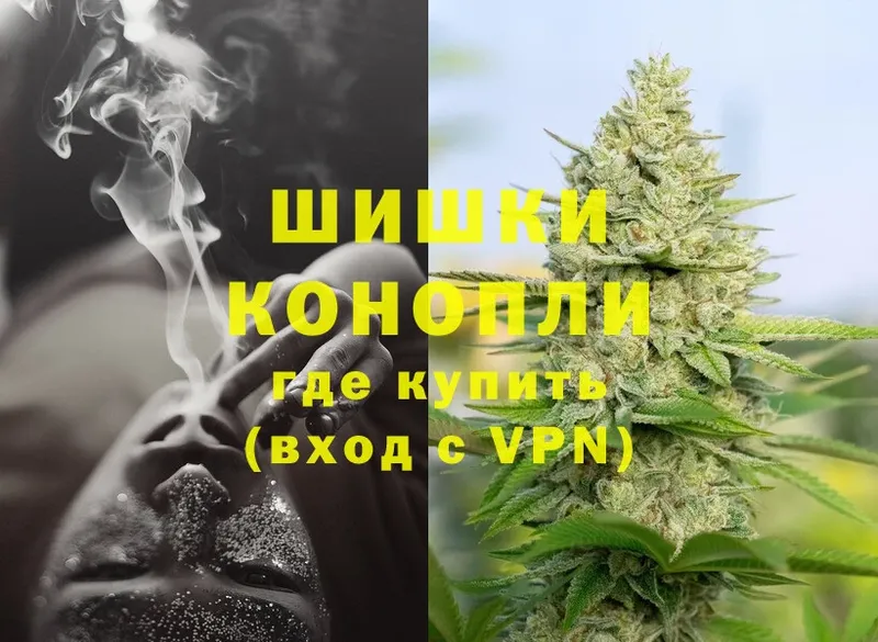 Канабис SATIVA & INDICA  Тосно 